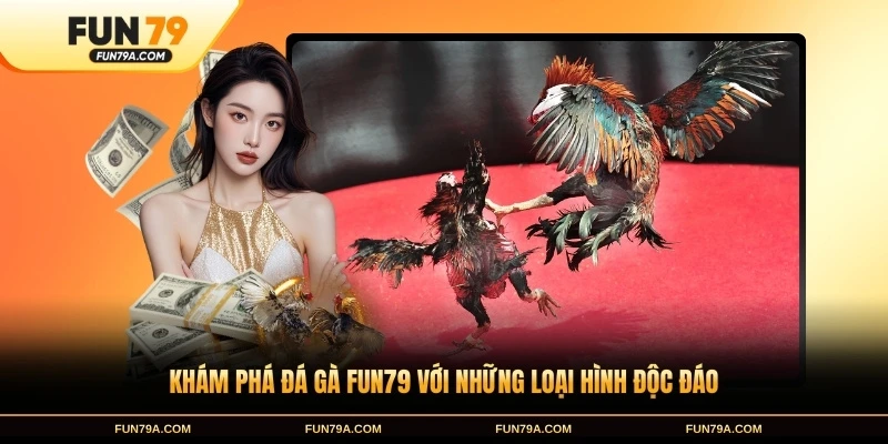 Khám phá đá gà FUN79 với những loại hình độc đáo
