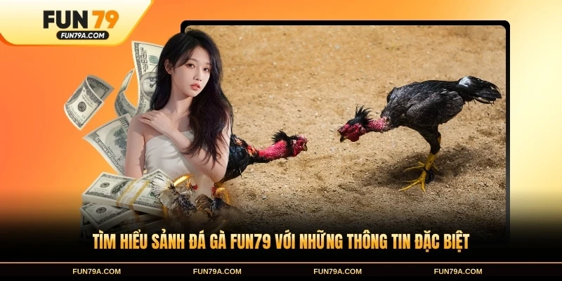 Tìm hiểu sảnh đá gà FUN79 với những thông tin đặc biệt